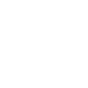silver-sponser